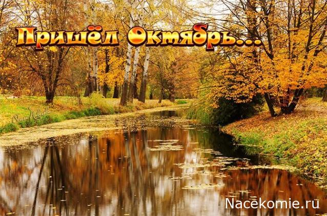 Праздник каждый день - поздравлялка Авторазделов