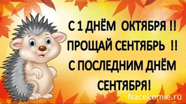 Праздник каждый день - поздравлялка Авторазделов