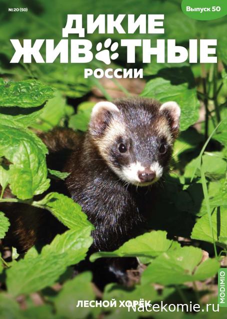 Дикие животные России (MODIMIO)