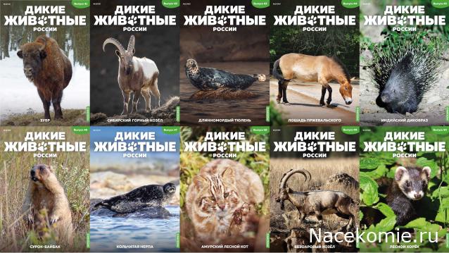 Дикие животные России (MODIMIO)
