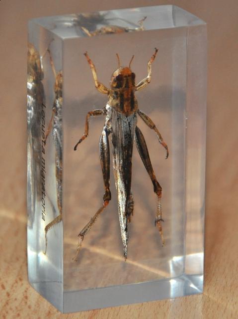 Чем полировать Акрил?