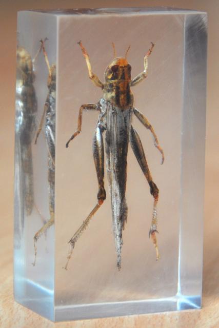 Чем полировать Акрил?