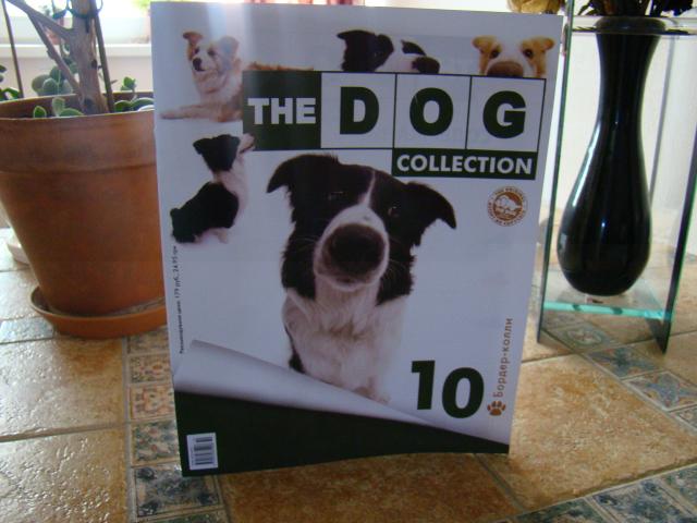 The Dog Collection №10 Бордер-колли