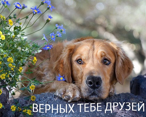 Болталка)) или милые детки, пишите сюда)))