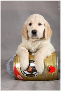 Болталка)) или милые детки, пишите сюда)))