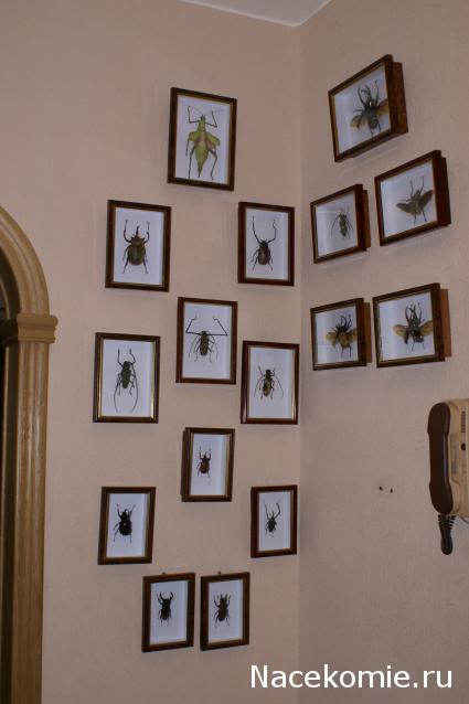 коллекция kombain82