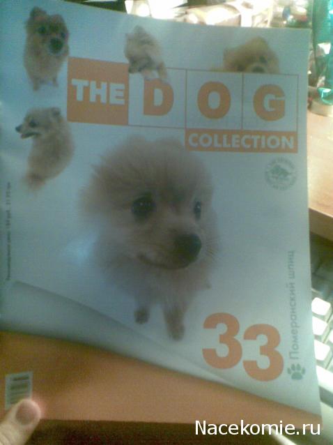 The Dog Collection №33 Померанский Шпиц