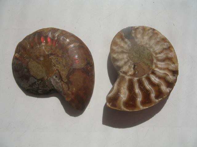 Коллекция минералов petrovitch