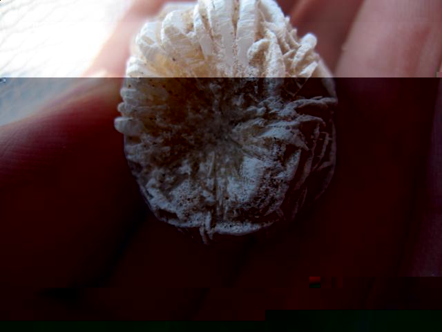 Коллекция минералов petrovitch