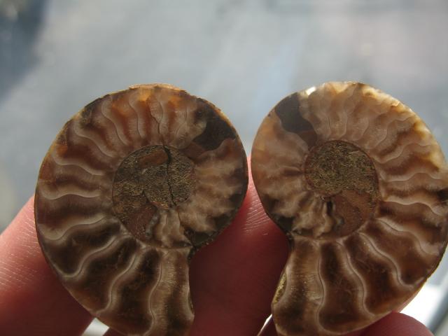 Коллекция минералов petrovitch