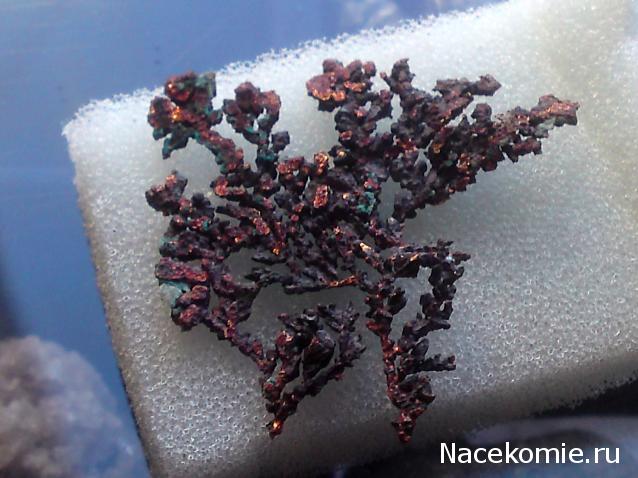 Минералы Сокровища Земли (2009) - График Выхода и обсуждение