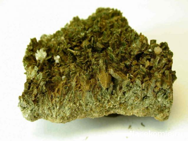 Минералы Сокровища Земли (2009) - График Выхода и обсуждение