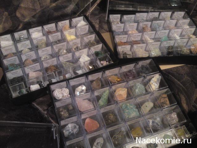 Минералы Сокровища Земли (2009) - График Выхода и обсуждение