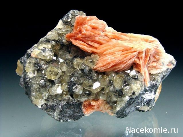 Минералы Сокровища Земли (2009) - График Выхода и обсуждение