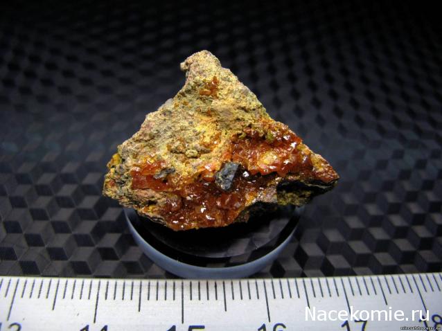 Минералы Сокровища Земли (2009) - График Выхода и обсуждение