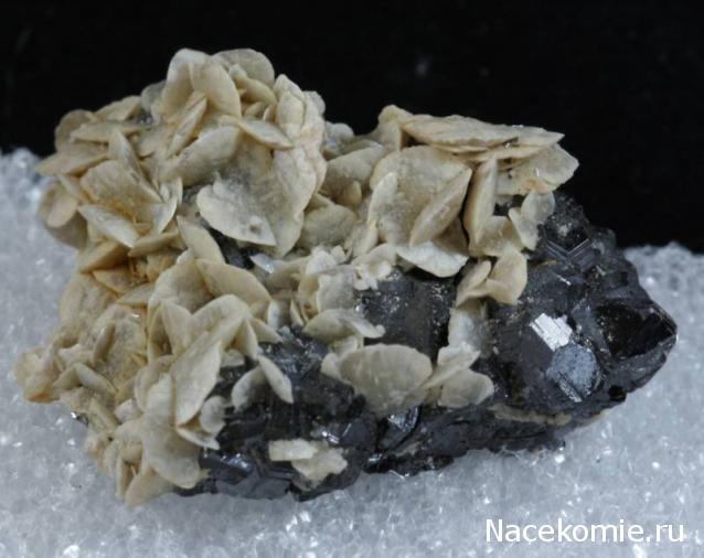 Минералы Сокровища Земли (2009) - График Выхода и обсуждение