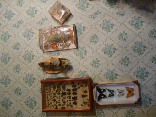 Насекомые в Акриле НЕ из Журнала