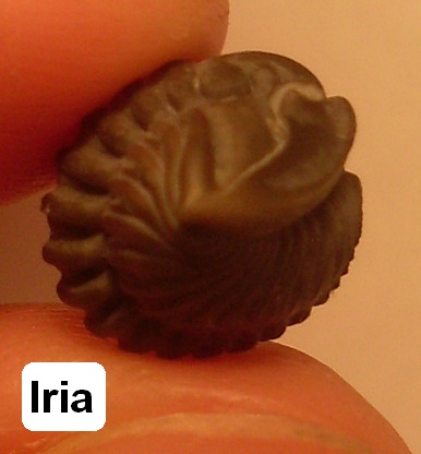 Iria