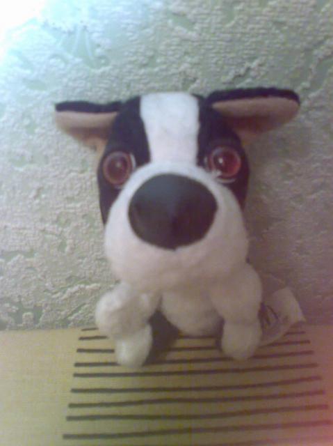 The Dog Collection 2010 - График Выхода и обсуждение