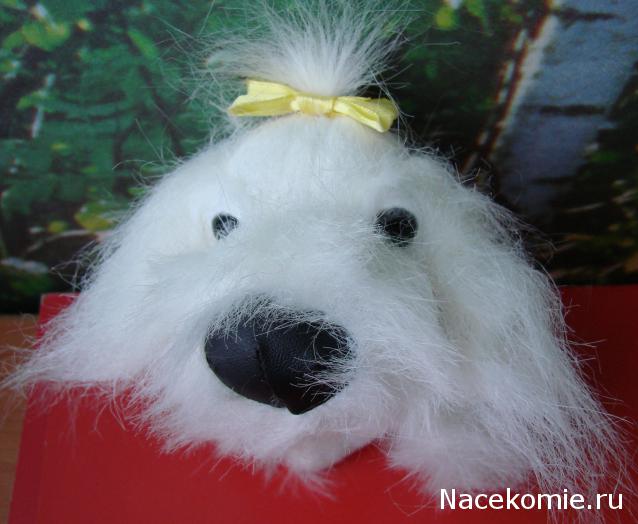 The Dog Collection №26 Мальтийская Болонка