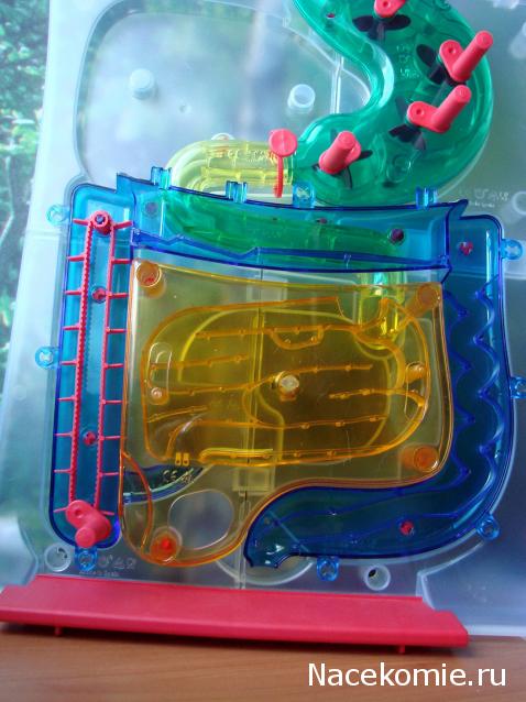 "Собери и познай человеческое тело" (сборка скелета)