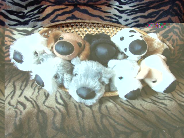 The Dog Collection 2010 - График Выхода и обсуждение