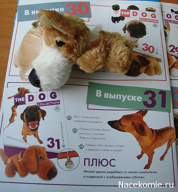 The Dog Collection №29 Вельш Корги Пемброк