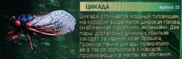 Насекомые и их знакомые 2010 График Выхода и обсуждение