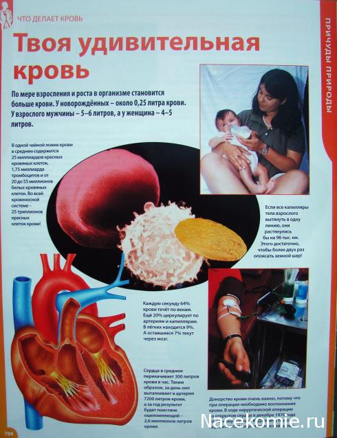 "Собери и познай человеческое тело" (сборка скелета)
