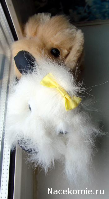 The Dog Collection №28 Норфолк Терьер
