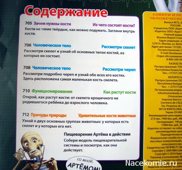 "Собери и познай человеческое тело" (сборка скелета)