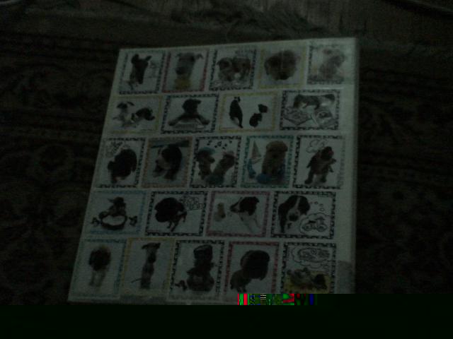 The Dog Collection 2010 - График Выхода и обсуждение