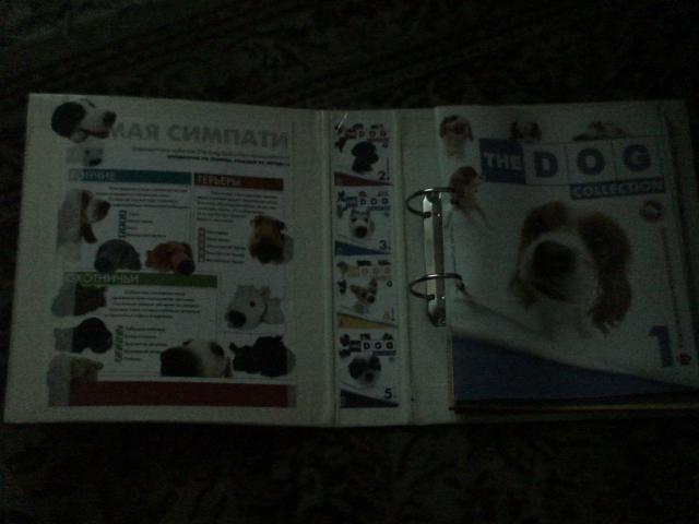 The Dog Collection 2010 - График Выхода и обсуждение