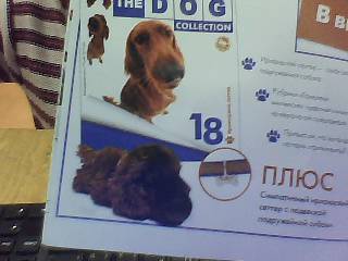 The Dog Collection №16 Веймаранер