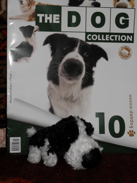 The Dog Collection 2010 - График Выхода и обсуждение