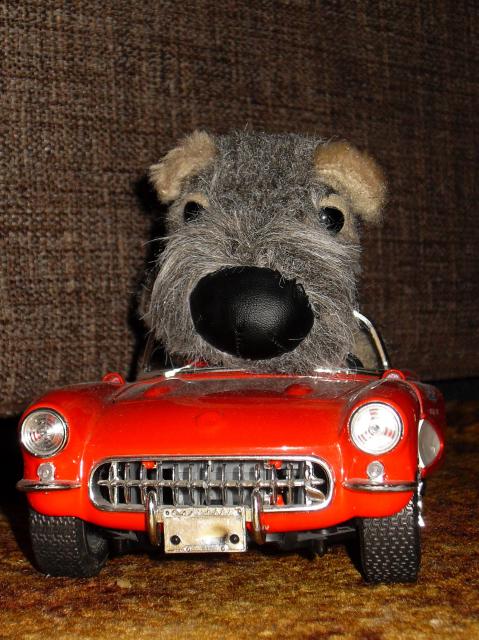 The Dog Collection 2010 - График Выхода и обсуждение