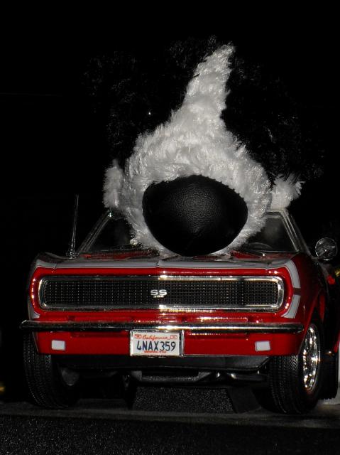 The Dog Collection 2010 - График Выхода и обсуждение