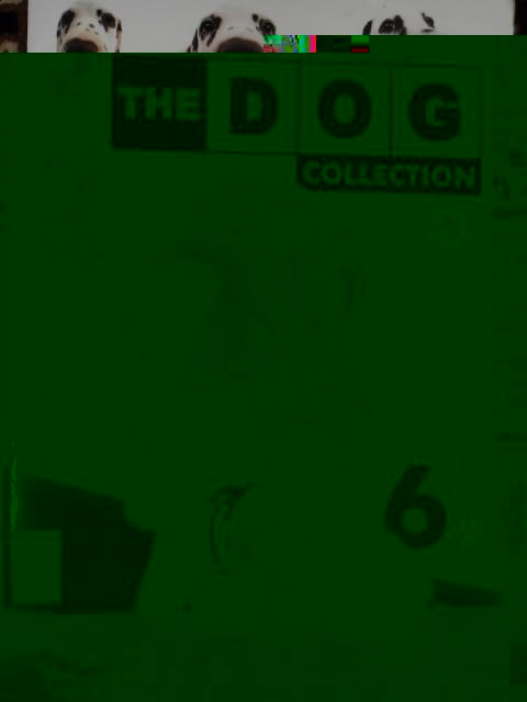 The Dog Collection 2010 - График Выхода и обсуждение