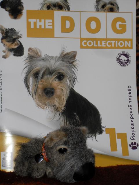 The Dog Collection 2010 - График Выхода и обсуждение