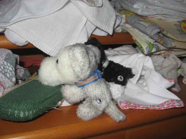 The Dog Collection 2010 - График Выхода и обсуждение