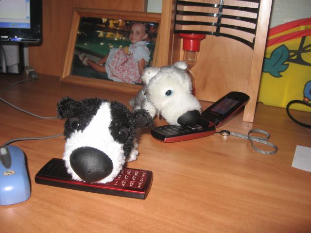 The Dog Collection 2010 - График Выхода и обсуждение