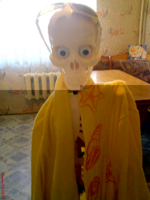 "Собери и познай человеческое тело" (сборка скелета)