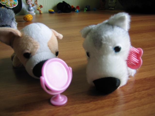 The Dog Collection 2010 - График Выхода и обсуждение