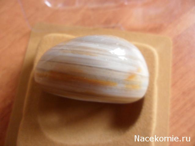 Энергия камней №10 Агат (Окатанный камень) фото, обсуждение