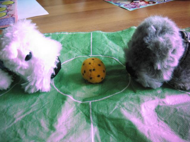 The Dog Collection 2010 - График Выхода и обсуждение