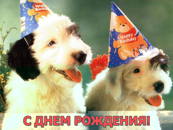 Болталка)) или милые детки, пишите сюда)))