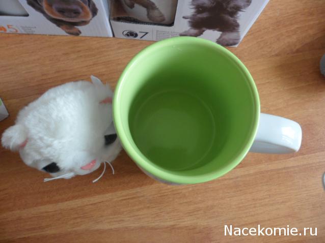 The Dog Collection 2010 - График Выхода и обсуждение