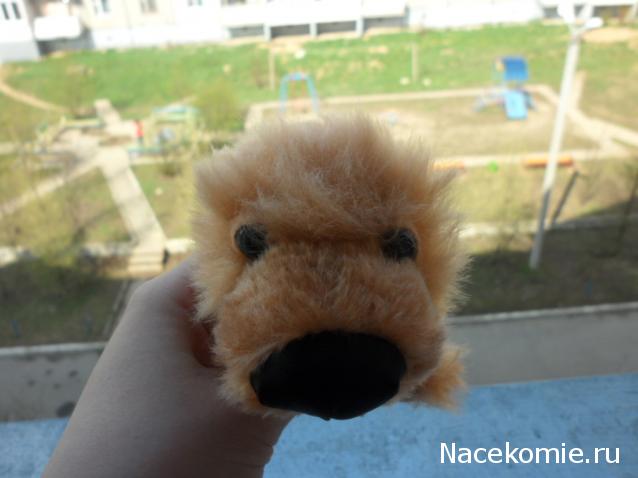 The Dog Collection №33 Померанский Шпиц