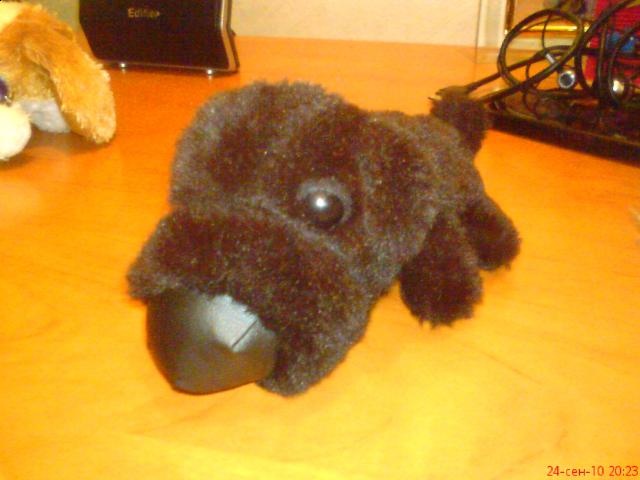 The Dog Collection 2010 - График Выхода и обсуждение