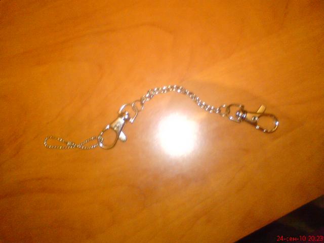 The Dog Collection 2010 - График Выхода и обсуждение